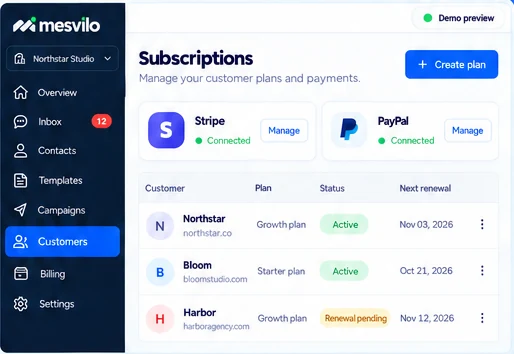 Subscriptions & payments — product preview with demo data